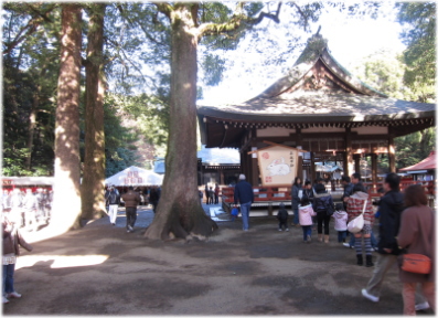 1g-9-17.jpg